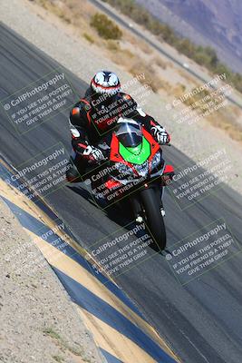 media/Mar-12-2022-SoCal Trackdays (Sat) [[152081554b]]/Turn 14 Inside (155pm)/